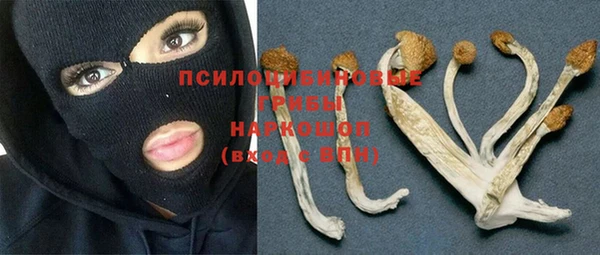 мдма Приозерск